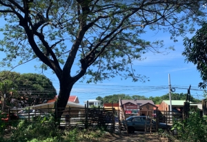 Titled Lot with Ocean View Along National Highway, San Juan, La Union